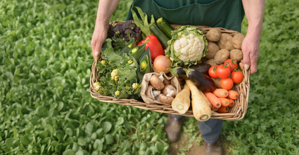Farmer carrying organic vegetables in box for delivery, close up